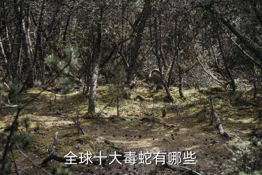 全球十大毒蛇有哪些