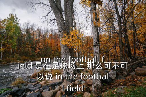 on the football field 是在足球場上 那么可不可以說 in the football field