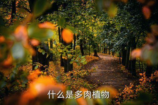 什么是多肉植物