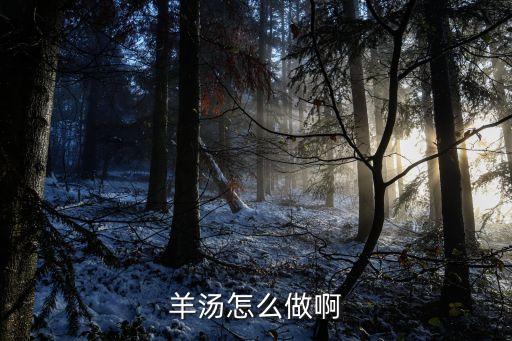 羊湯怎么做啊