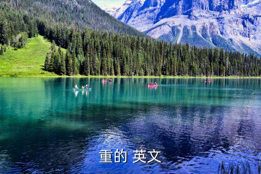 重量英文,wt包裝袋英文縮寫是什么?