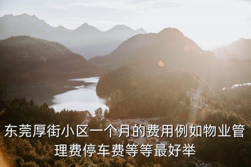 東莞厚街小區一個月的費用例如物業管理費停車費等等最好舉