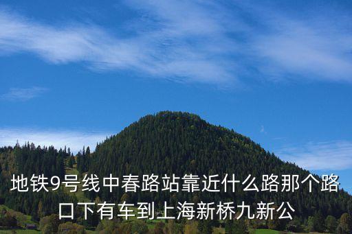 上海市松江區新橋鎮九新公路2888號，地鐵9號線中春路站靠近什么路那個路口下有車到上海新橋九新公