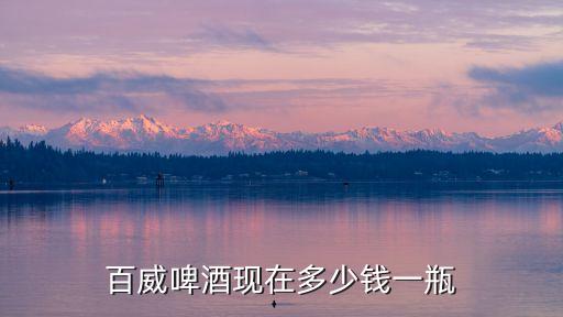百威啤酒現在多少錢一瓶