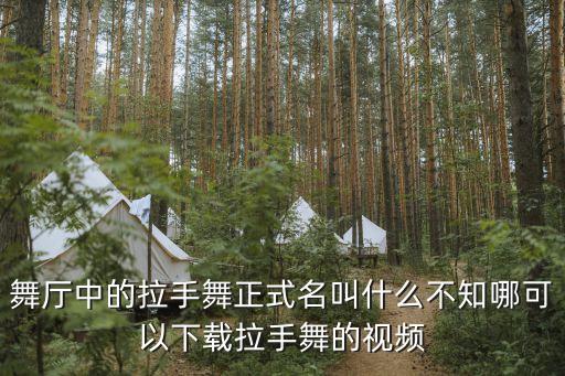 舞廳中的拉手舞正式名叫什么不知哪可以下載拉手舞的視頻