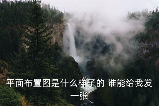 平面布置圖是什么樣子的 誰能給我發一張