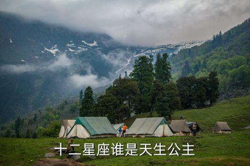 畫12十二星座公主，十二星座各是什么公主