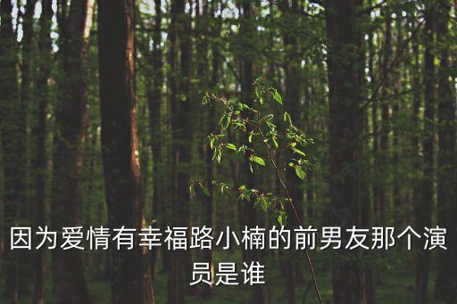因?yàn)閻?ài)情有幸福路小楠的前男友那個(gè)演員是誰(shuí)