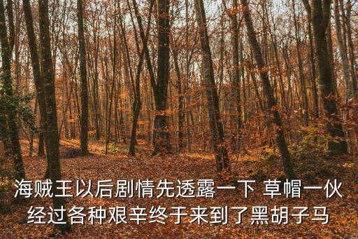 海賊王以后劇情先透露一下 草帽一伙經過各種艱辛終于來到了黑胡子馬