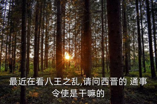 通事,通事石林:對皇帝負責也對通事怕文英之墓負責