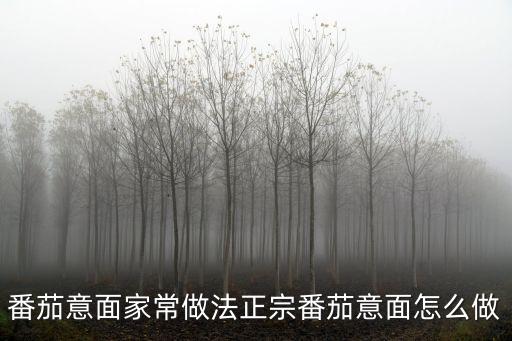 番茄意大利面的做法，番茄意大利面的做法 怎么做番茄意大利面