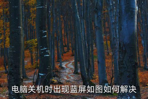 電腦關機時出現藍屏如圖如何解決
