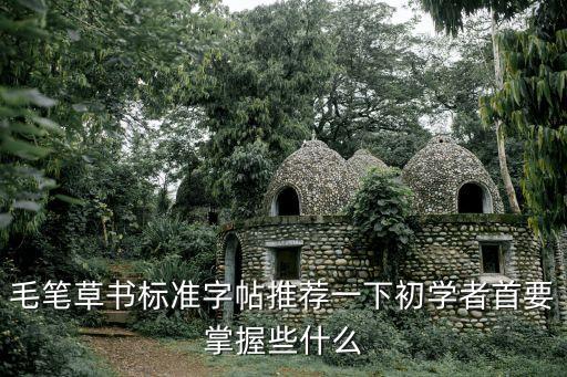 毛筆草書標準字帖推薦一下初學者首要掌握些什么