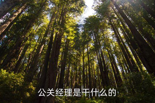 公關經理是干什么的