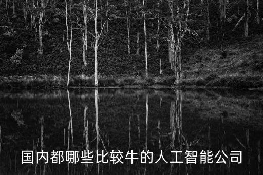 國內都哪些比較牛的人工智能公司