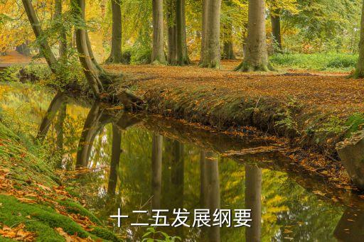 十二五規(guī)劃綱要，十二五規(guī)劃的主要內(nèi)容是什么