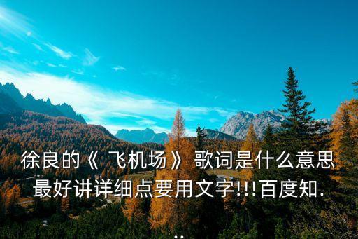 徐良的《 飛機場》 歌詞是什么意思最好講詳細點要用文字!!!百度知...