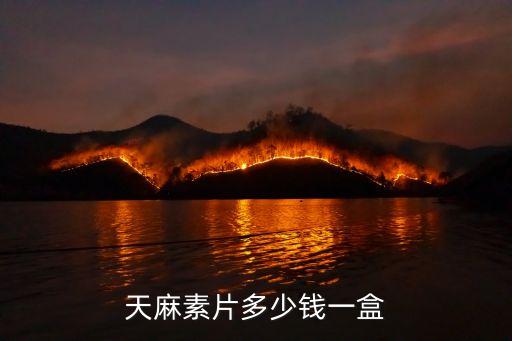 天麻素片多少錢一盒