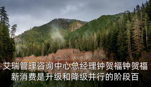 艾瑞管理咨詢中心總經(jīng)理鐘賀福鐘賀福新消費(fèi)是升級(jí)和降級(jí)并行的階段百