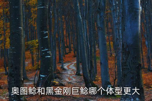 奧圖鯰和黑金剛巨鯰哪個體型更大