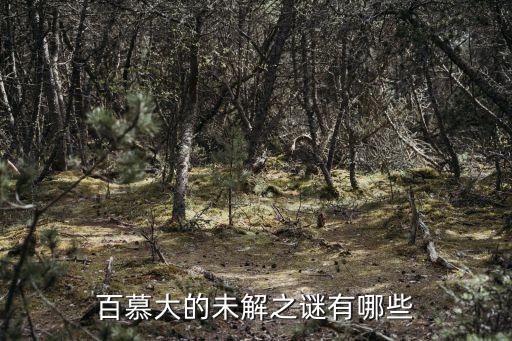 百慕大未解之謎，百慕大的未解之謎有哪些