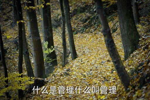 什么是管理什么叫管理