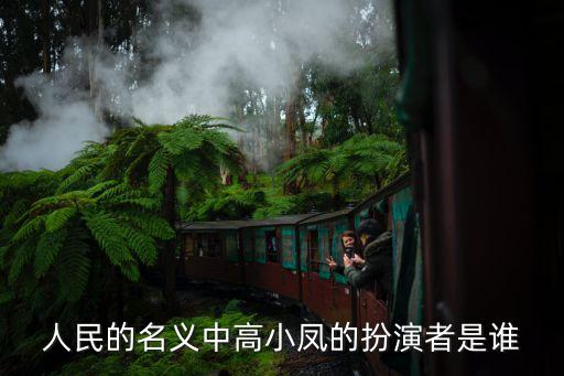 高小鳳，人民的名義高小鳳是誰演的第幾集出場