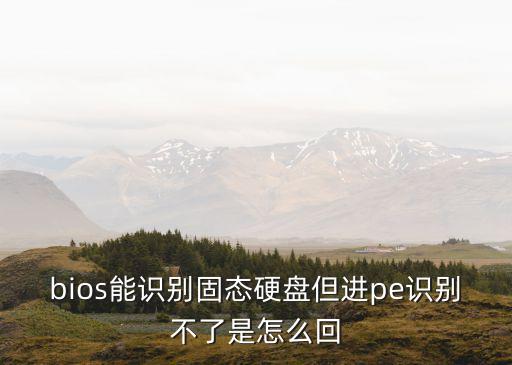 固態(tài)硬盤(pán)無(wú)法讀取，固態(tài)硬盤(pán)不能讀取