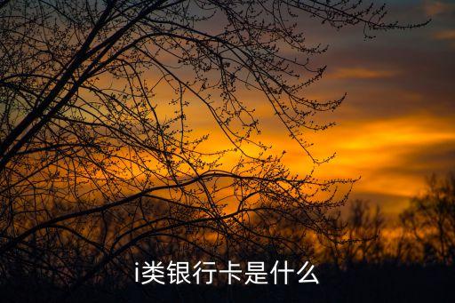 i類銀行卡，什么是a類銀行卡