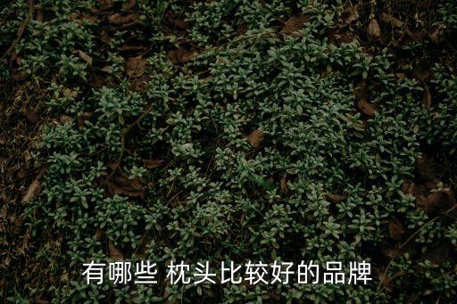 有哪些 枕頭比較好的品牌
