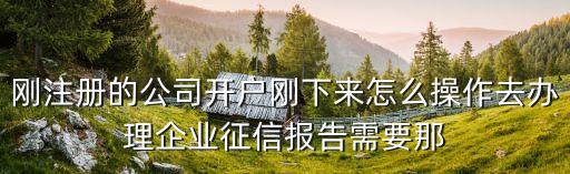 東莞企業征信在哪里開，東莞市打征信報告在什么地方