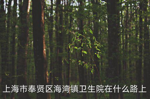 上海市奉賢區海灣鎮衛生院中醫，上海市奉賢區有沒有中醫醫院我要詳細地址
