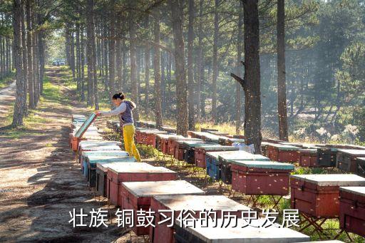 壯族銅鼓,廣西出土的銅鼓類型比較齊全
