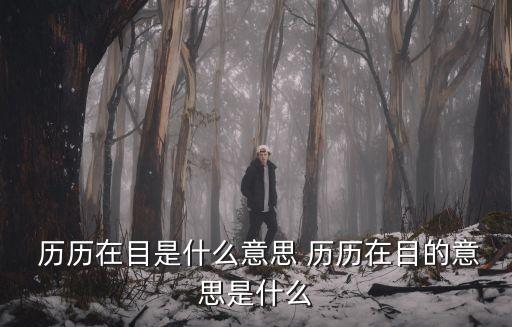 歷歷在目什么意思,歷歷在目指過去的事物和場景