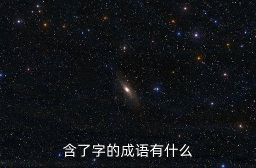 含了字的成語有什么
