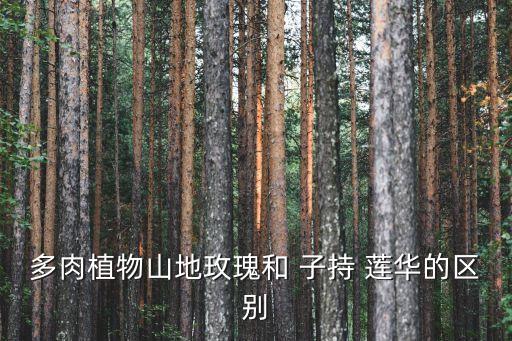 多肉植物山地玫瑰和 子持 蓮華的區別