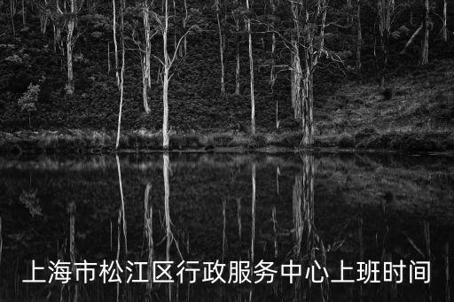 上海市松江區(qū)行政服務中心上班時間