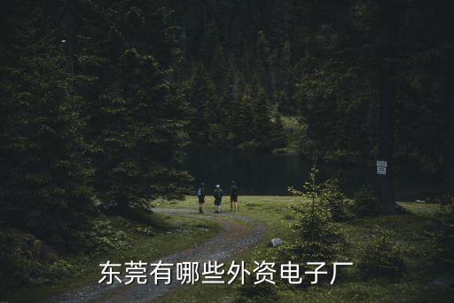 東莞有哪些外資電子廠
