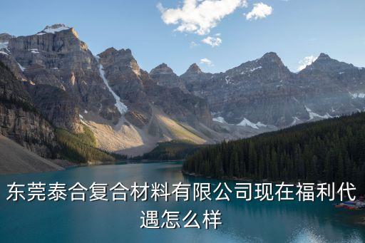 東莞泰合復合材料有限公司現在福利代遇怎么樣