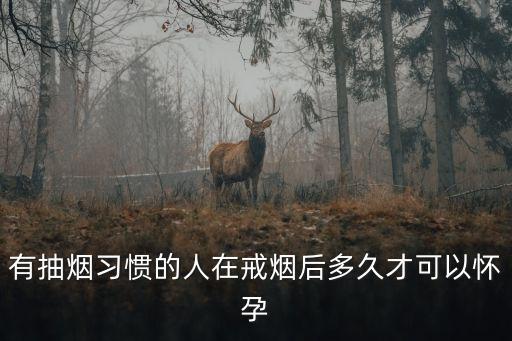 戒煙多久可以懷孕，有抽煙習慣的人在戒煙后多久才可以懷孕