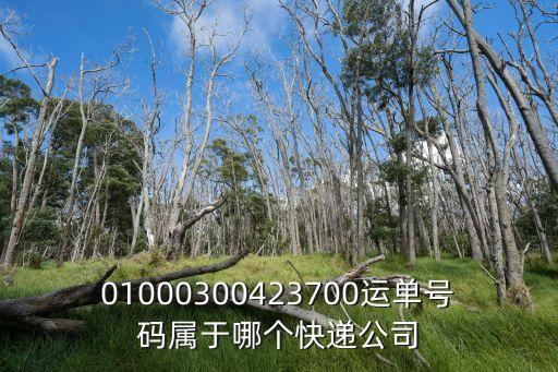 01000300423700運(yùn)單號碼屬于哪個快遞公司