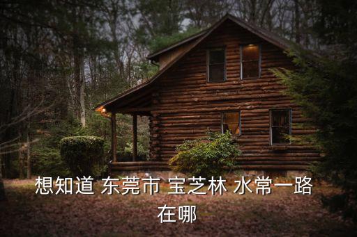 東莞清湖頭寶芝林，想知道 東莞市 寶芝林 水常一路 在哪