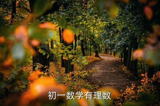 初一數學有理數，初一數學有理數