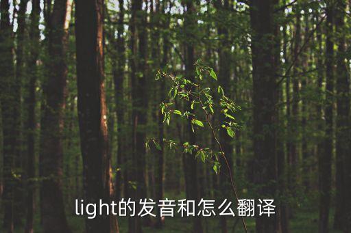 light的發(fā)音和怎么翻譯