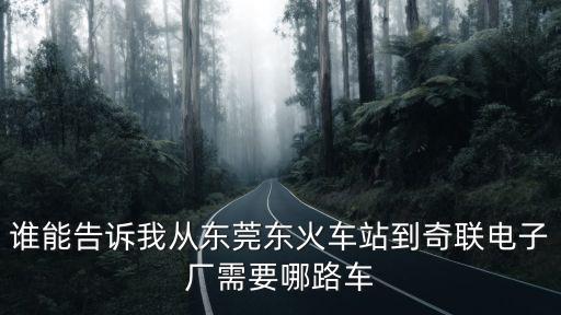 東莞橋頭奇聯廠，誰能告訴我從東莞東火車站到奇聯電子廠需要哪路車