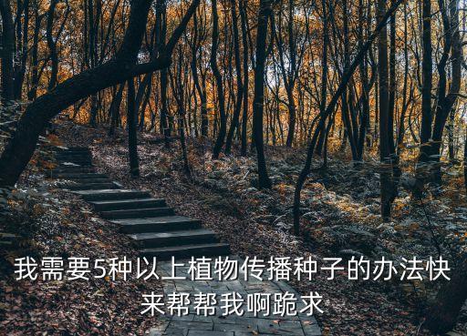 我需要5種以上植物傳播種子的辦法快來幫幫我啊跪求