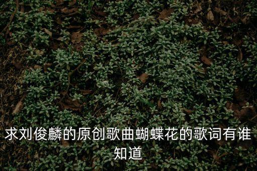求劉俊麟的原創歌曲蝴蝶花的歌詞有誰知道