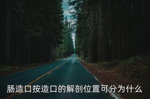 腸造口，腸造口按造口的解剖位置可分為什么