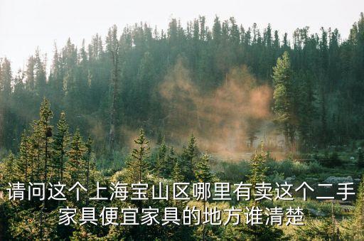 請問這個上海寶山區哪里有賣這個二手家具便宜家具的地方誰清楚