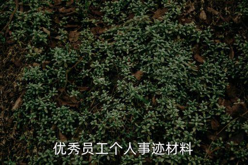 優秀員工個人事跡材料